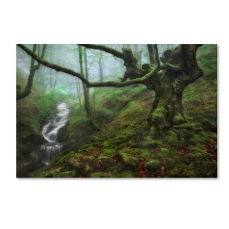 Fran Osuna 'The Enchanted Forest' Canvas Art,16x24